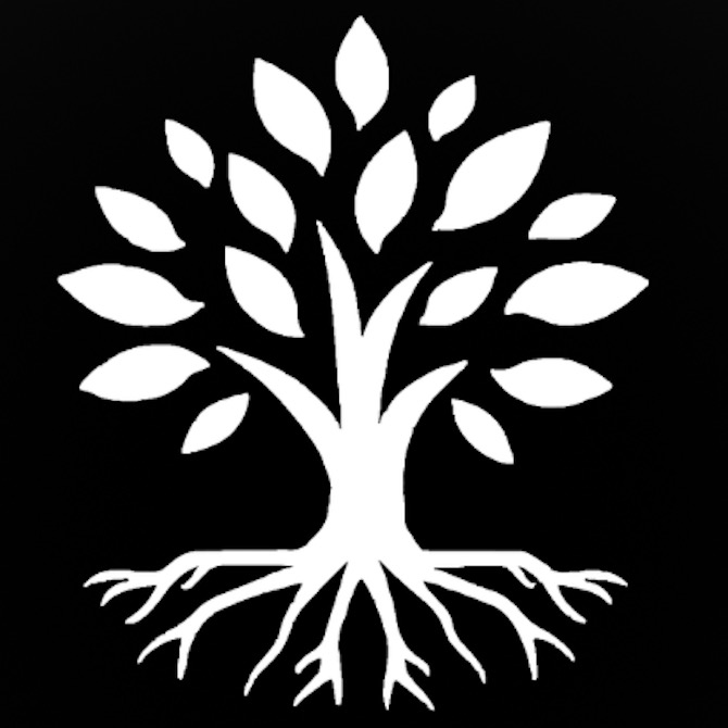 NAFIC Icon